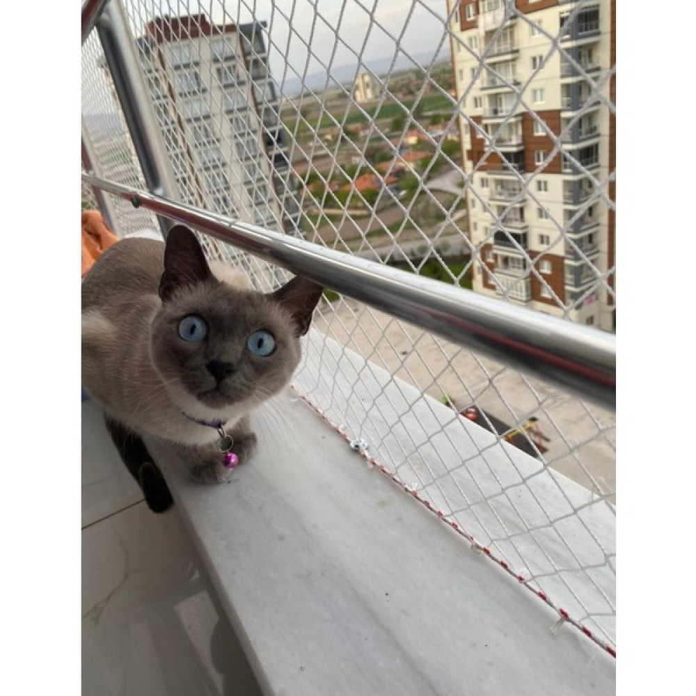 Uzman Güvenlik Filesi Kedi Filesi 1,5X12M Kedi Koruma Filesi Kuş Filesi Kuş Önleme Filesi Güvenlik Filesi - Beyaz Oto Boyaları Fiyatı