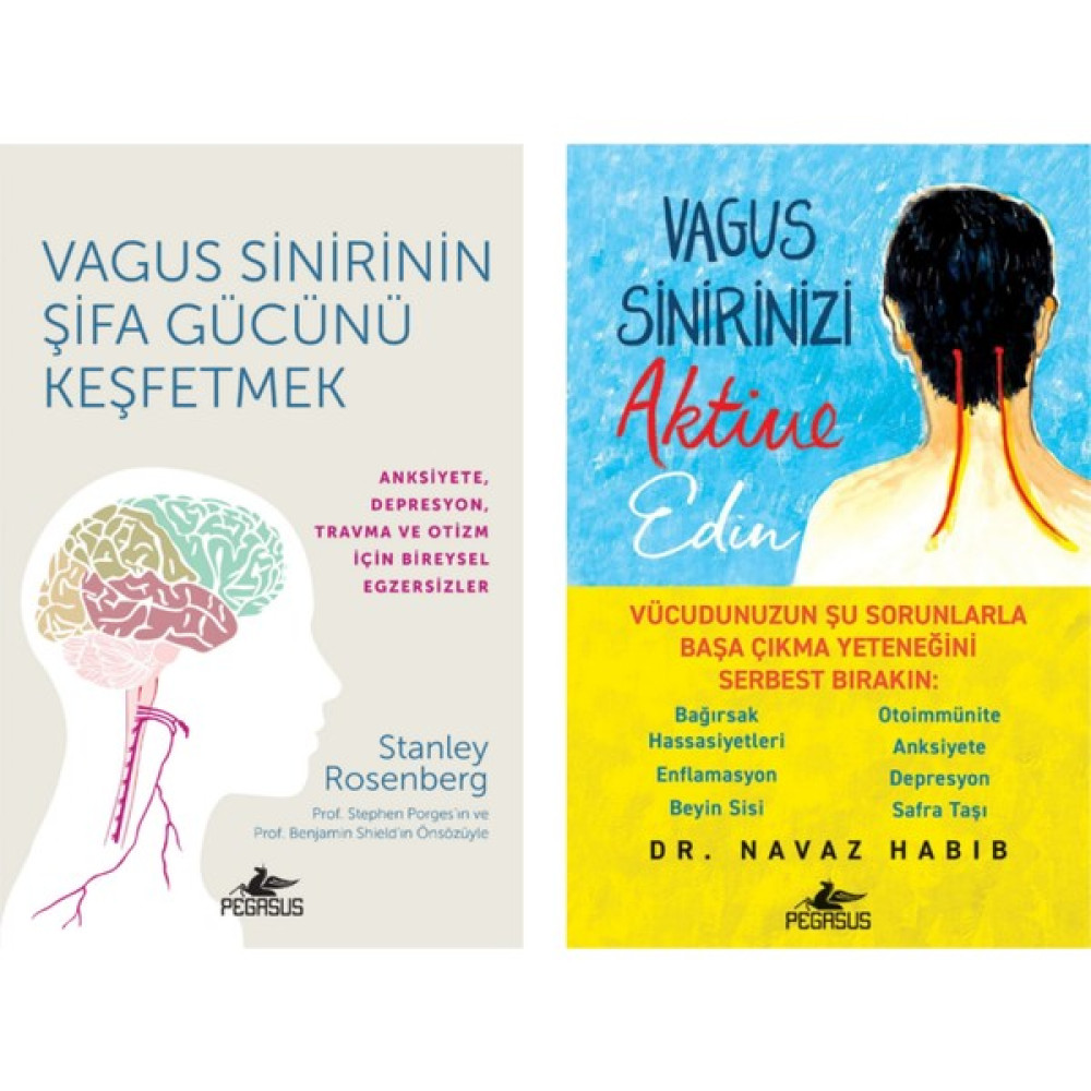 Vagus Sinirinin Şifa Gücünü Keşfetmek - Vagus Sinirinizi Aktive Edin Tıp Kitapları Fiyatı