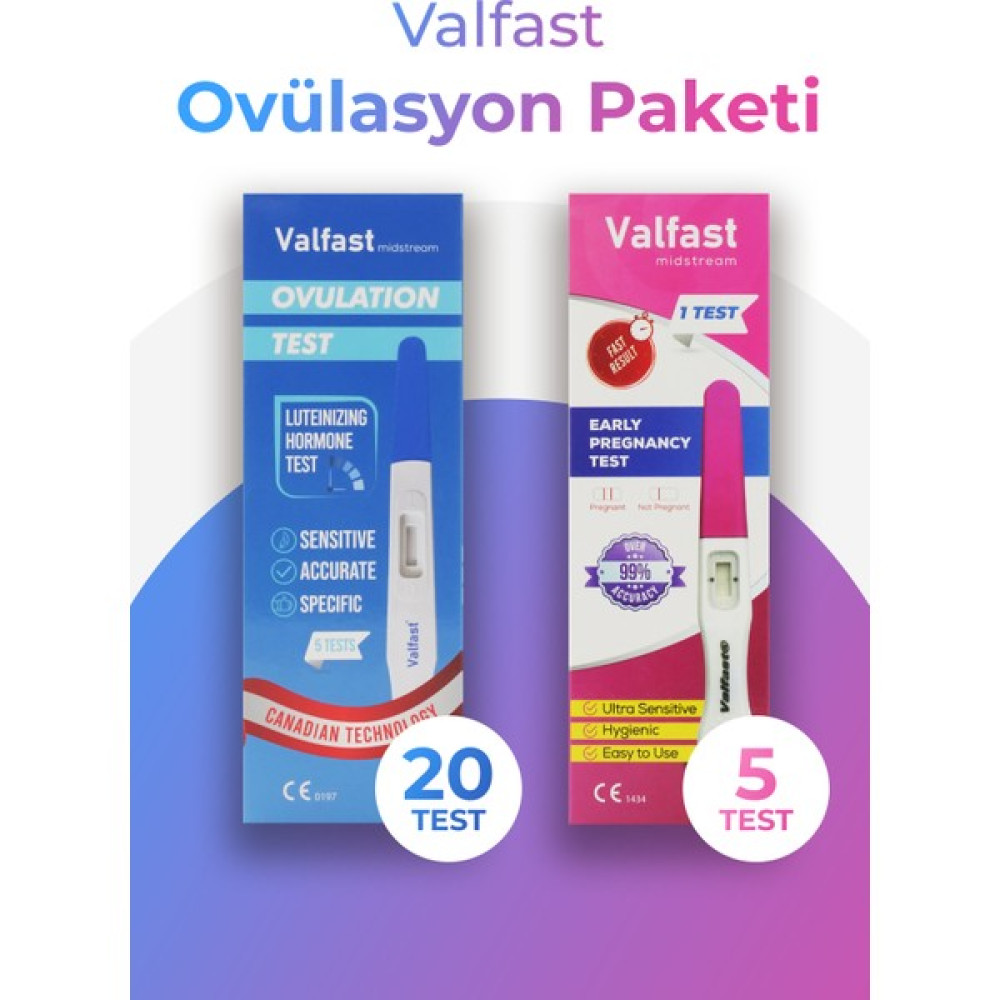 Valfast 20 Adet Ovulasyon + 5 Adet Erken Gebelik Testi Kalem Test Oto Boyaları Fiyatı