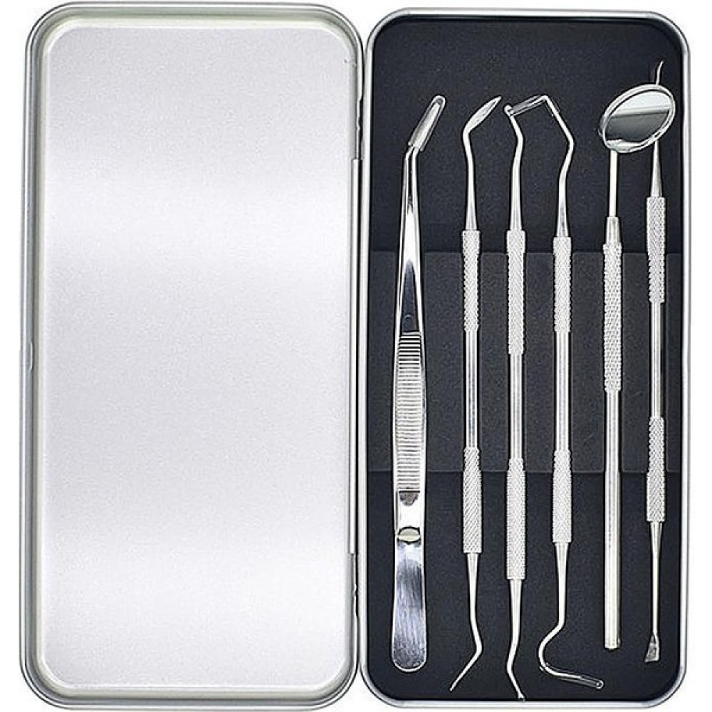 Valkyrie 6 Adet Metal Kutulu Paslanmaz Çelik Diş Tartar Dil Temizleme Dental Ağız Bakım Seti Diş Beyazlatıcılar Fiyatı