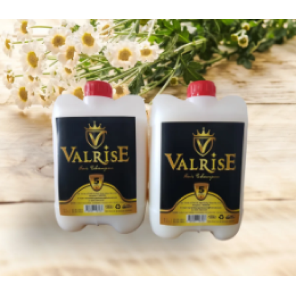 Valrise 5 Litre Sac Sampuani X 2 Adet Profesyonel Ustun Kalite Şampuan ve Saç Kremi Fiyatı