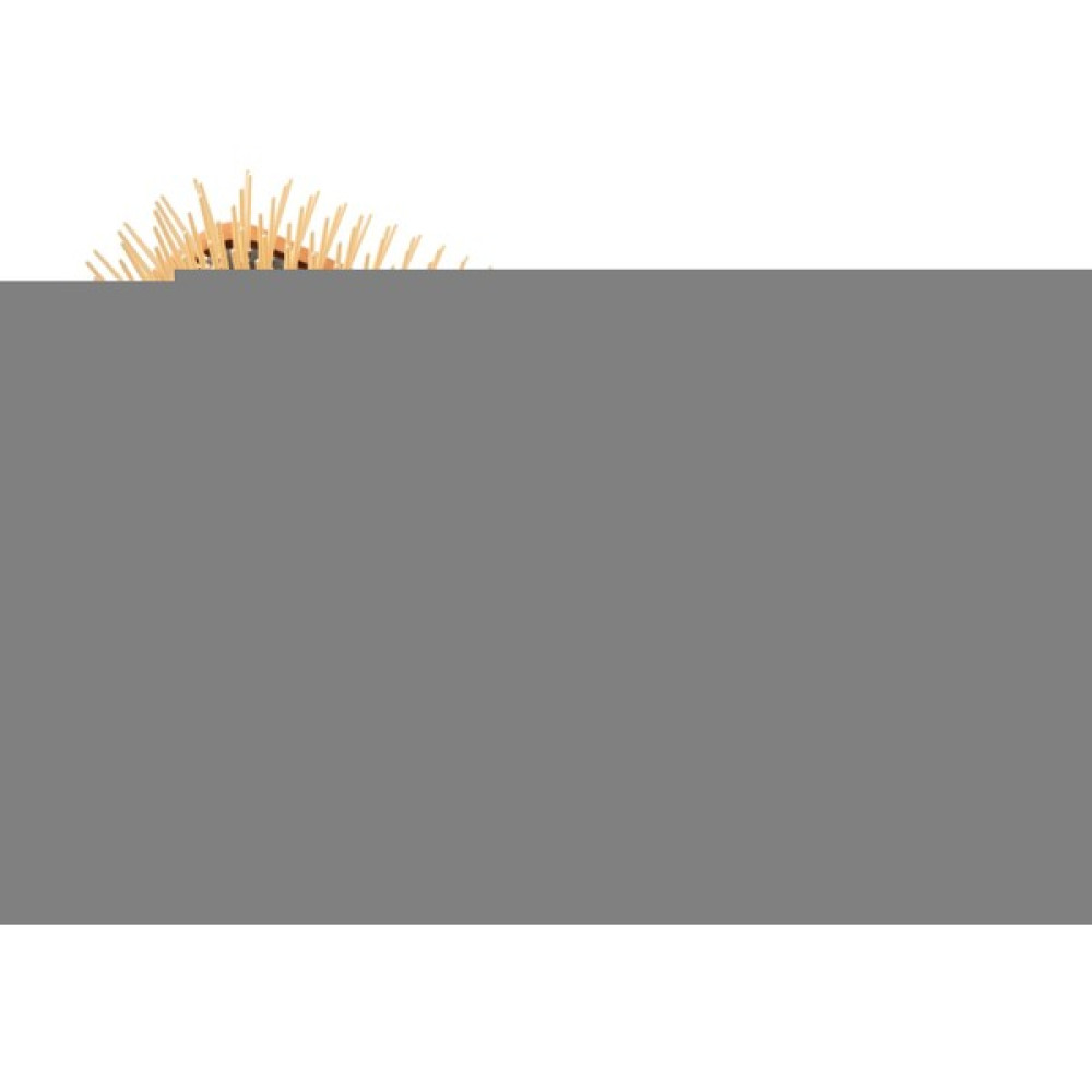 Vepa Prestige Saç Fırçası 262 Saç Fırçası ve Tarağı Fiyatı