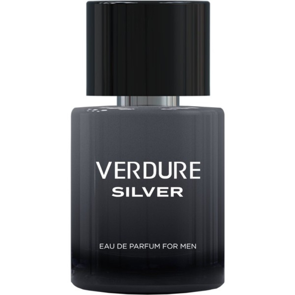 Verdure Silver Erkek Parfüm 100 ml - 0 Erkek Parfümleri Fiyatı