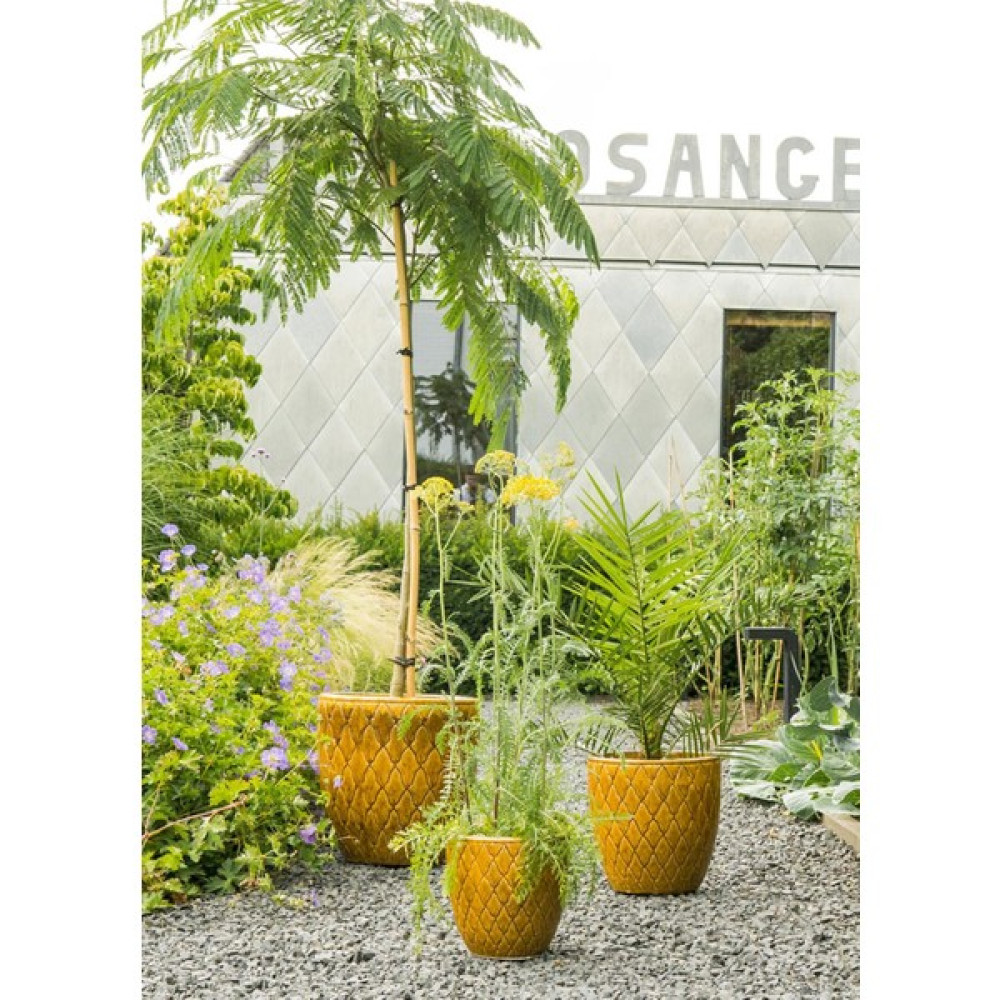Via Gardenia Leon Seramik Sarı Saksı 23 cm Saksı ve Aksesuarları Fiyatı