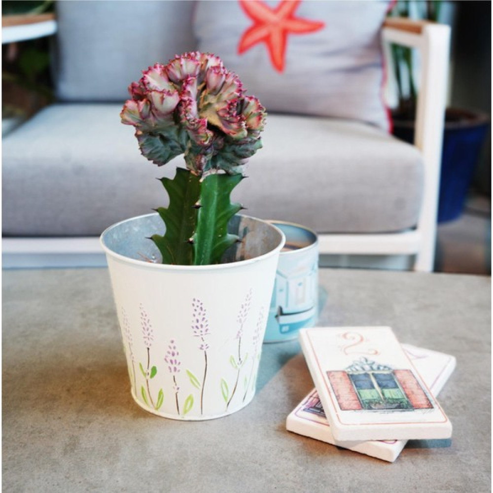 Via Gardenia Metal Lavanta Desenli Saksı 13X12 cm - Beyaz Saksı ve Aksesuarları Fiyatı