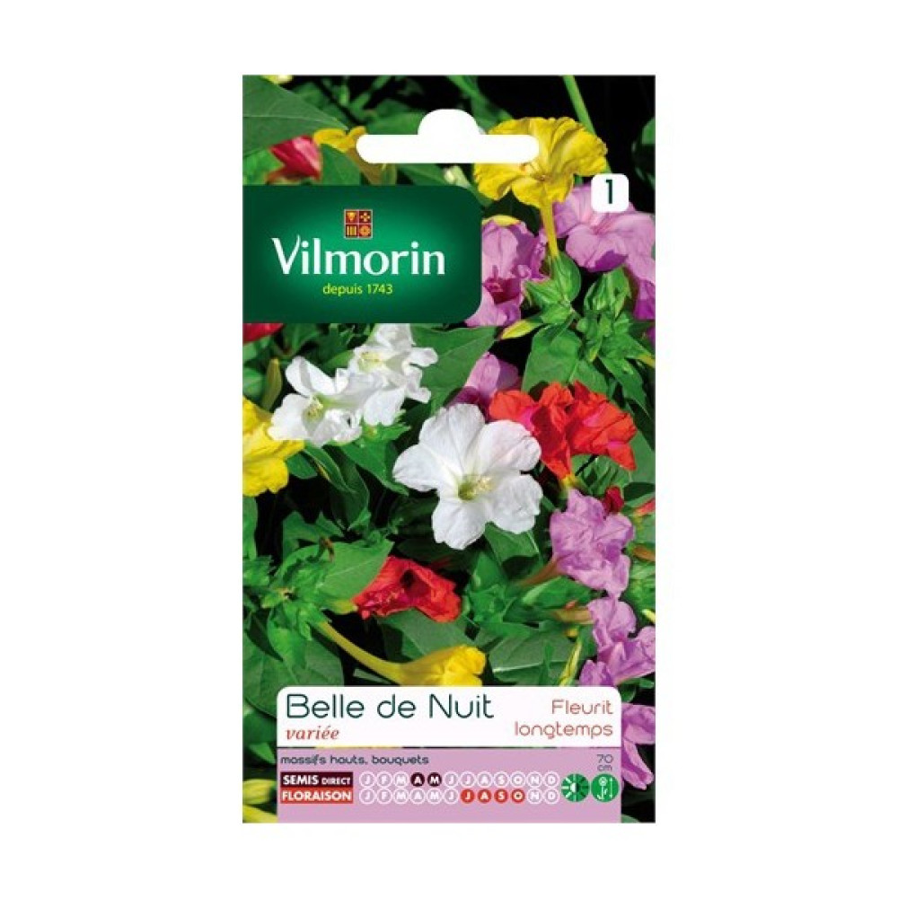 Vilmorin AkşamSefası Çiçek Tohumu Tohum Fiyatı