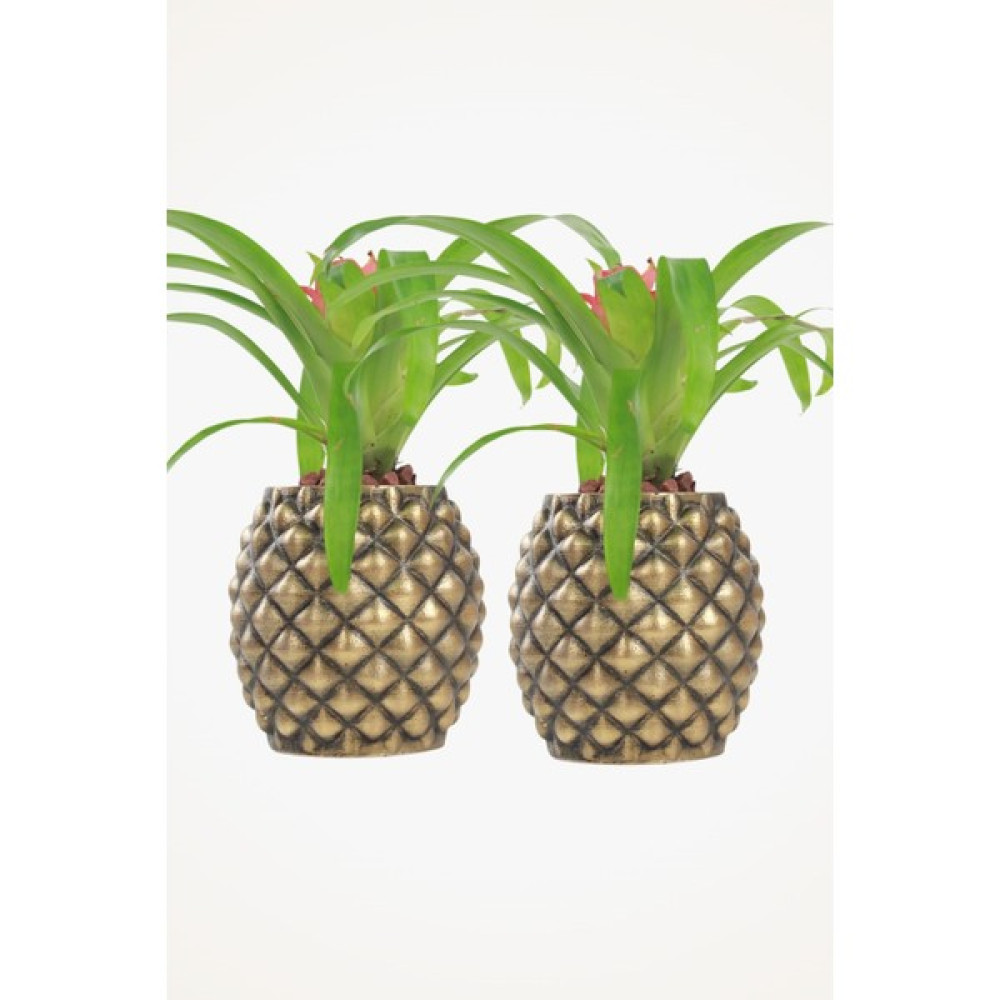 Viselia Büyük Dekoratif Saksı Çiçek Saksısı 2 Adet 1 Boy Ananas Saksı ve Aksesuarları Fiyatı