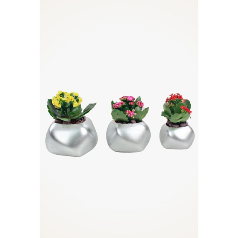 Viselia Büyük Dekoratif Saksı Gümüş Çiçek Saksısı 3 Adet 3 Boy Spiral Model Saksı ve Aksesuarları Fiyatı