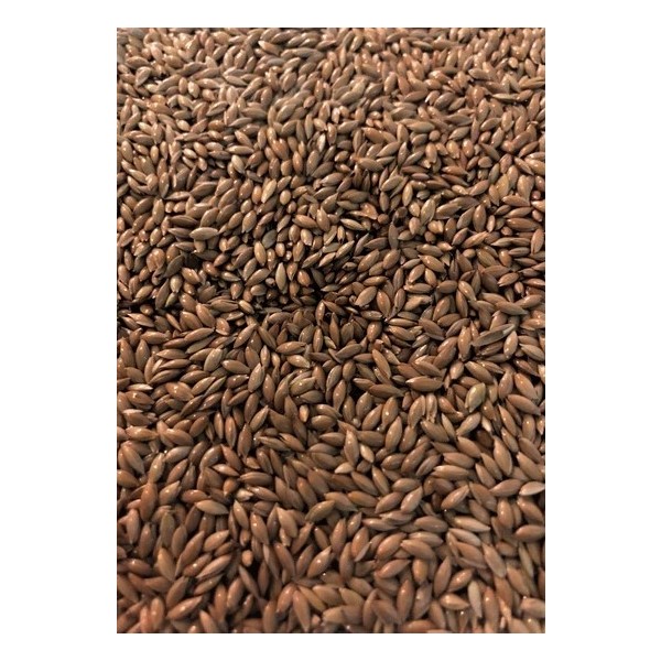 Vivid Aspur 1 kg Evcil Hayvan Ürünleri Fiyatı