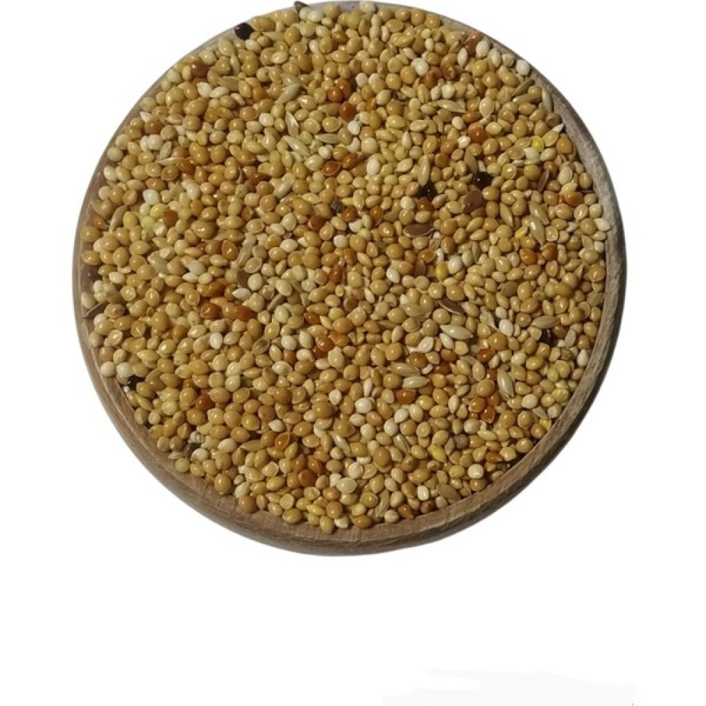 Vivid Bird Karışık Kuş Yemi 1000GR Evcil Hayvan Ürünleri Fiyatı