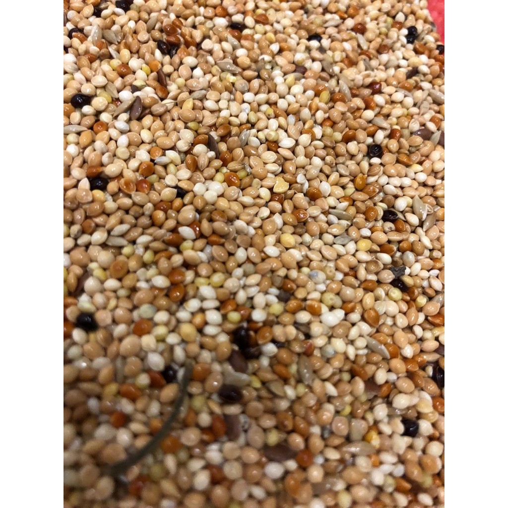 Vivid Kafes Kuşu Yemi 1kg Evcil Hayvan Ürünleri Fiyatı