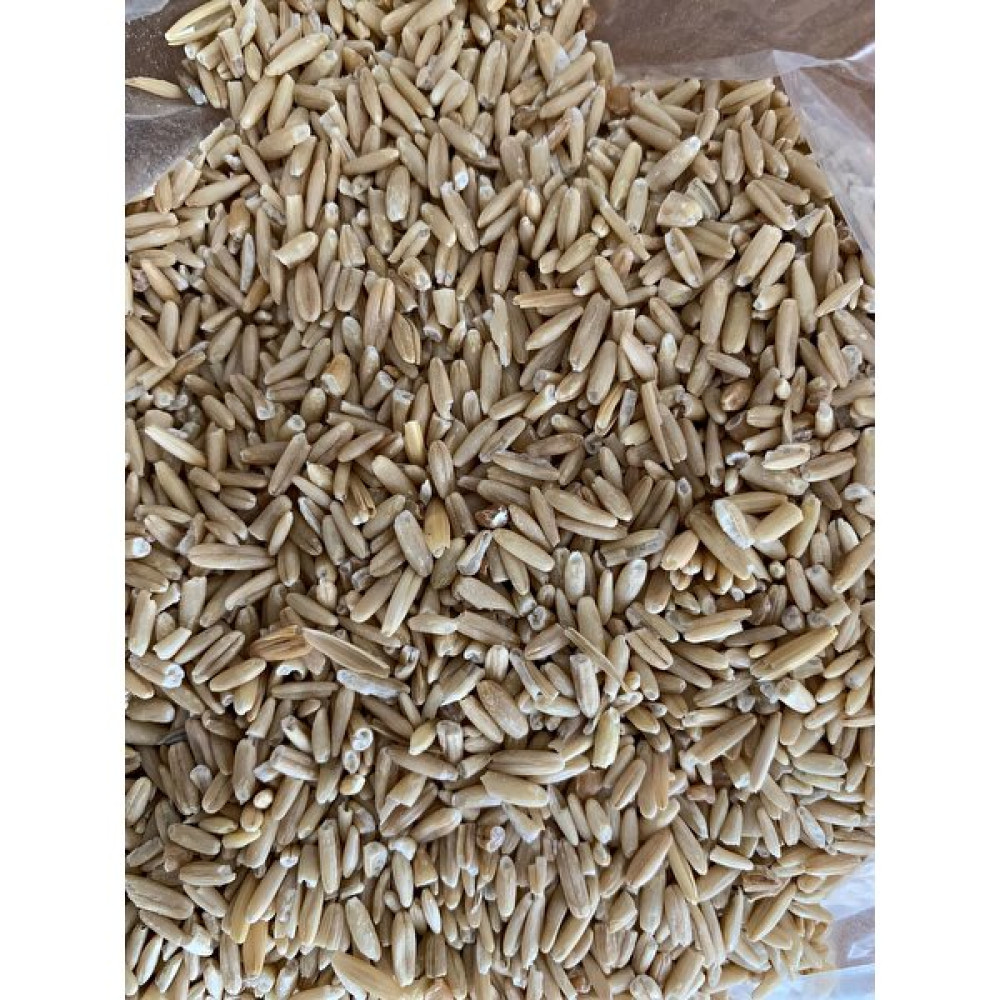 vivid Muhabbet Kuşları Için Soyulmuş Yulaf 0,5 kg Evcil Hayvan Ürünleri Fiyatı