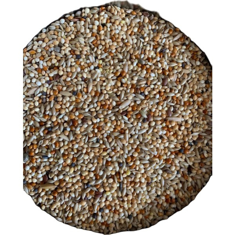 Vivid Premium Muhabbet Kuşu Yemi ( 1 kg ) Oto Boyaları Fiyatı
