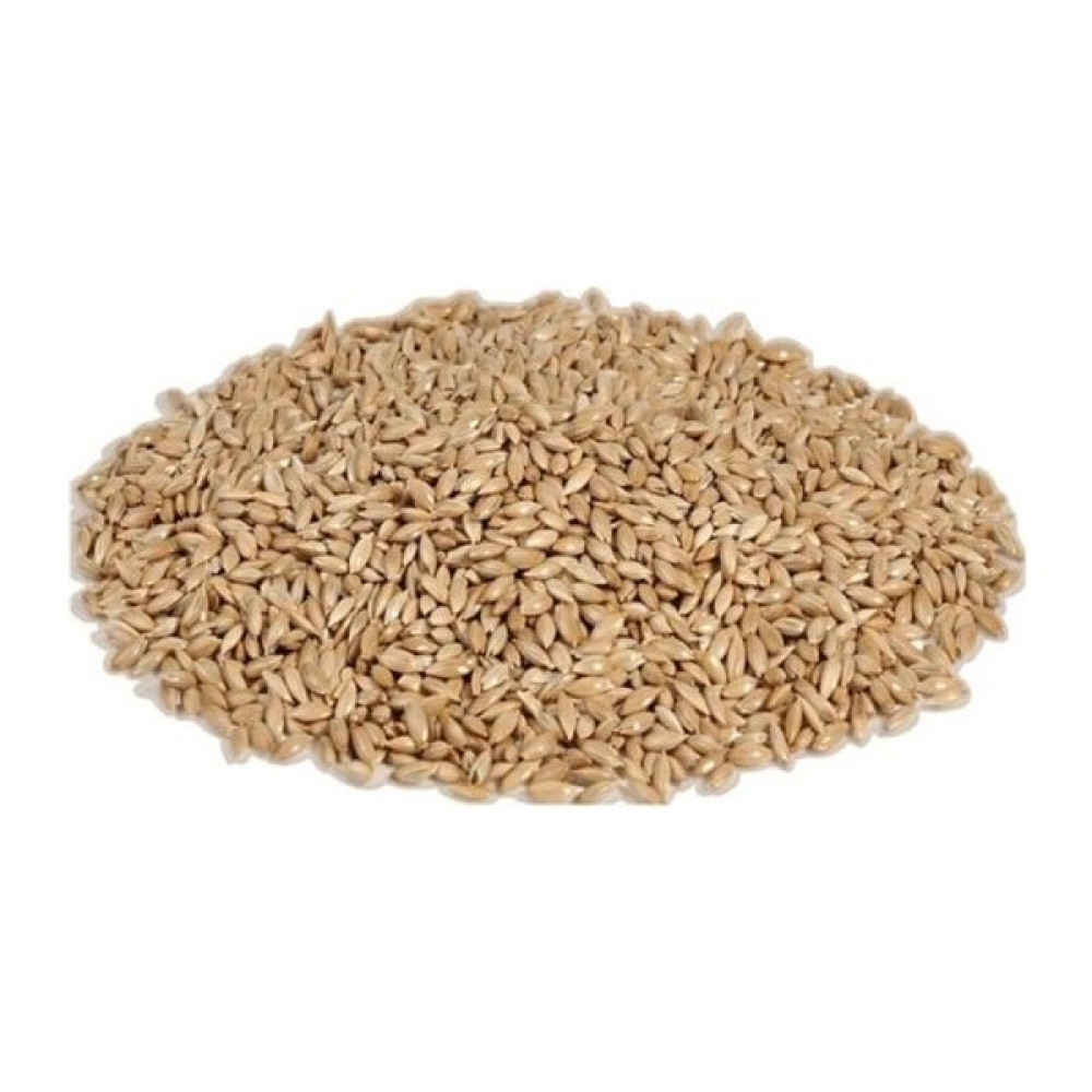 Vivid Sade Kanarya Yemi (Aspur) 1 kg Evcil Hayvan Ürünleri Fiyatı