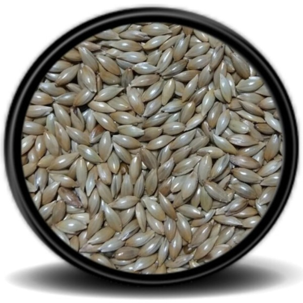 Vivid Sade Kanarya Yemi (Aspur) 1kg Evcil Hayvan Ürünleri Fiyatı