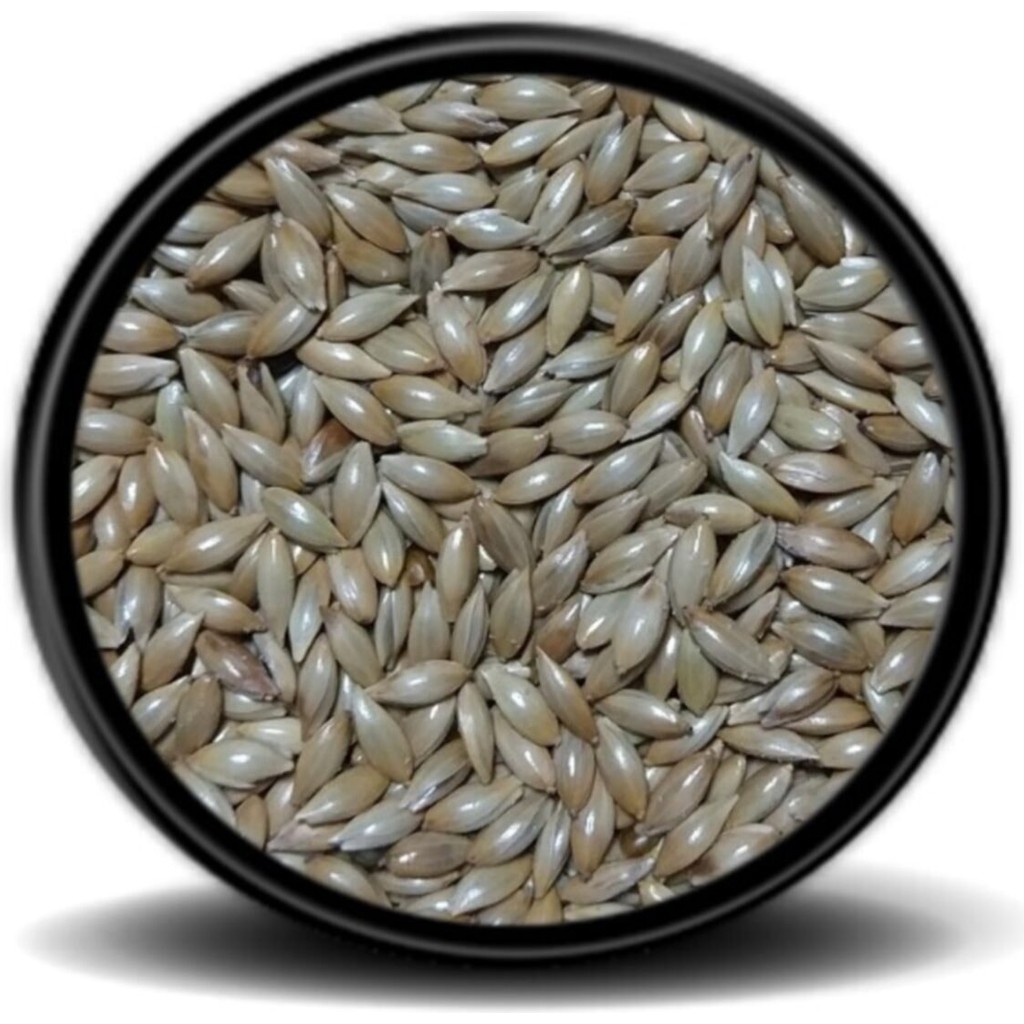 Vivid Sade Kanarya Yemi (Aspur) 1kg Diğer Fiyatı