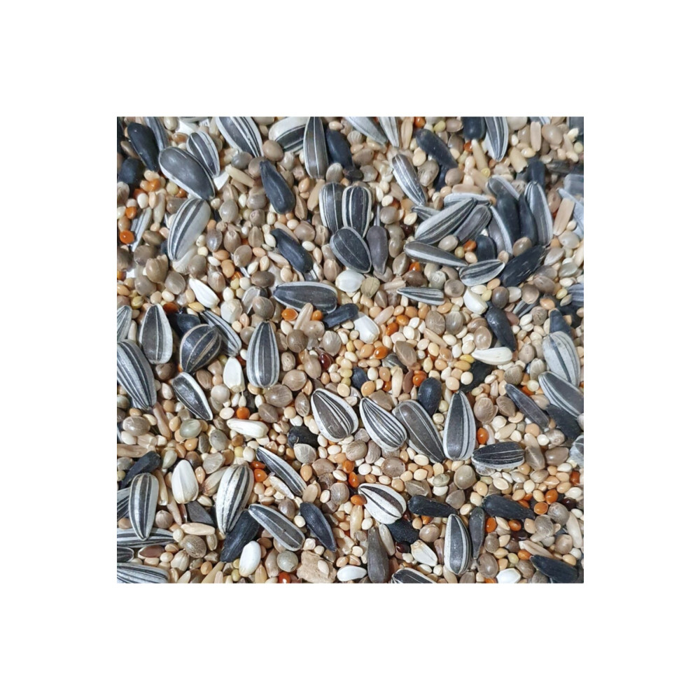 Vivid Sultan Papağanı Yemi (1 Kg) Evcil Hayvan Ürünleri Fiyatı