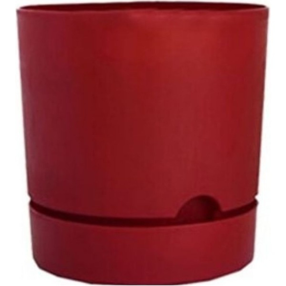 Viyalente Saksı Begonya 21 cm Bordo Saksı ve Aksesuarları Fiyatı