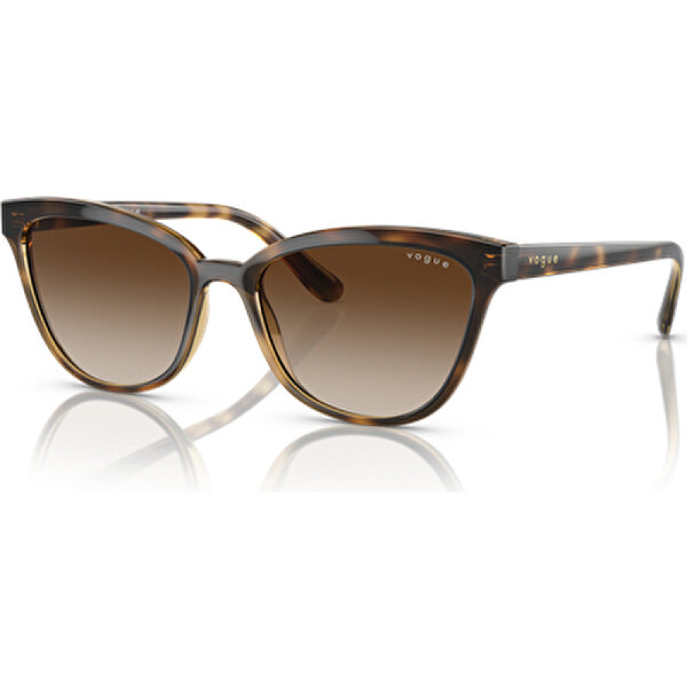 Vogue VO5496SI W65613 Unisex Güneş Gözlükleri Fiyatı
