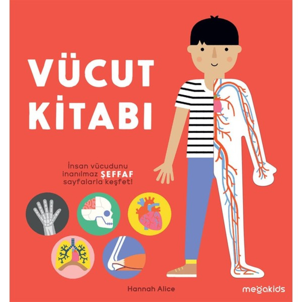 Vücut Kitabı Zihinsel Gelişim Kitapları Fiyatı