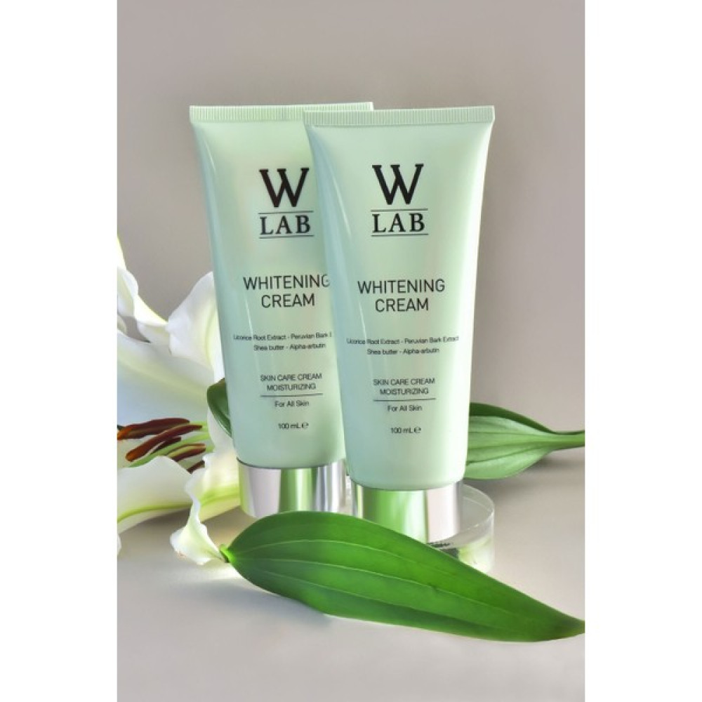 W-Lab Krem 2 Adet 100+100 Ml Oto Boyaları Fiyatı
