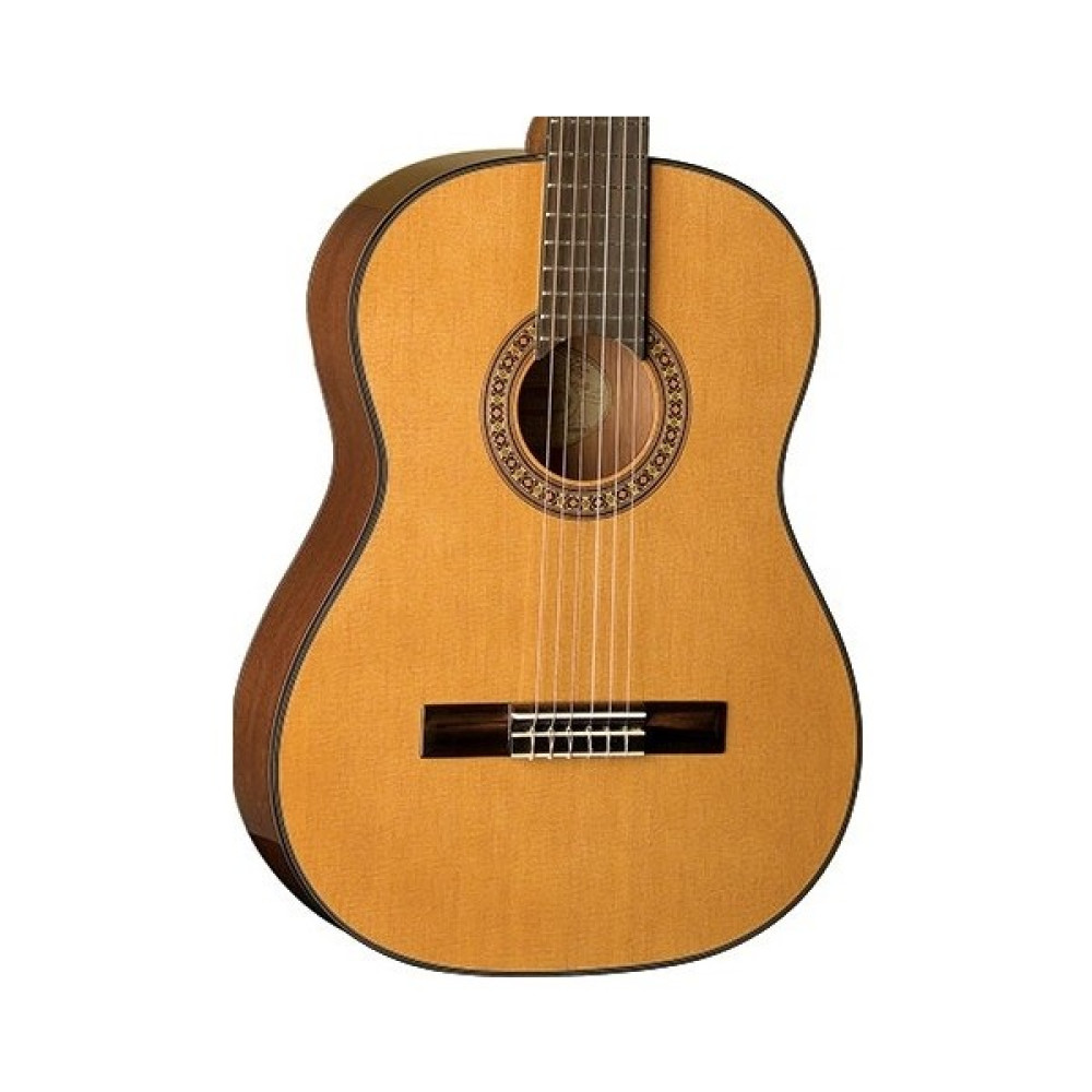 Washburn C40 Klasik Gitar - Natural Klasik Gitarlar Fiyatı