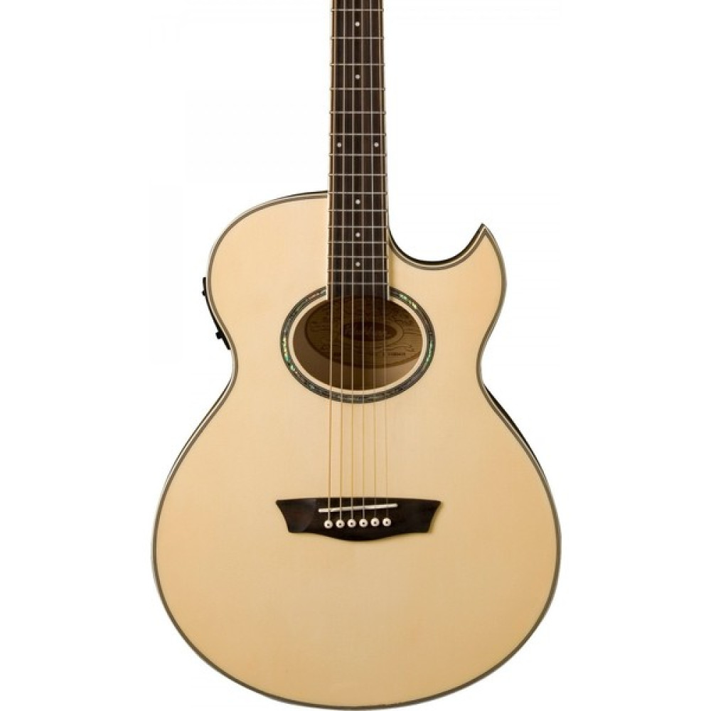 Washburn EA20 Elektro Akustik Gitar Akustik Gitarlar Fiyatı