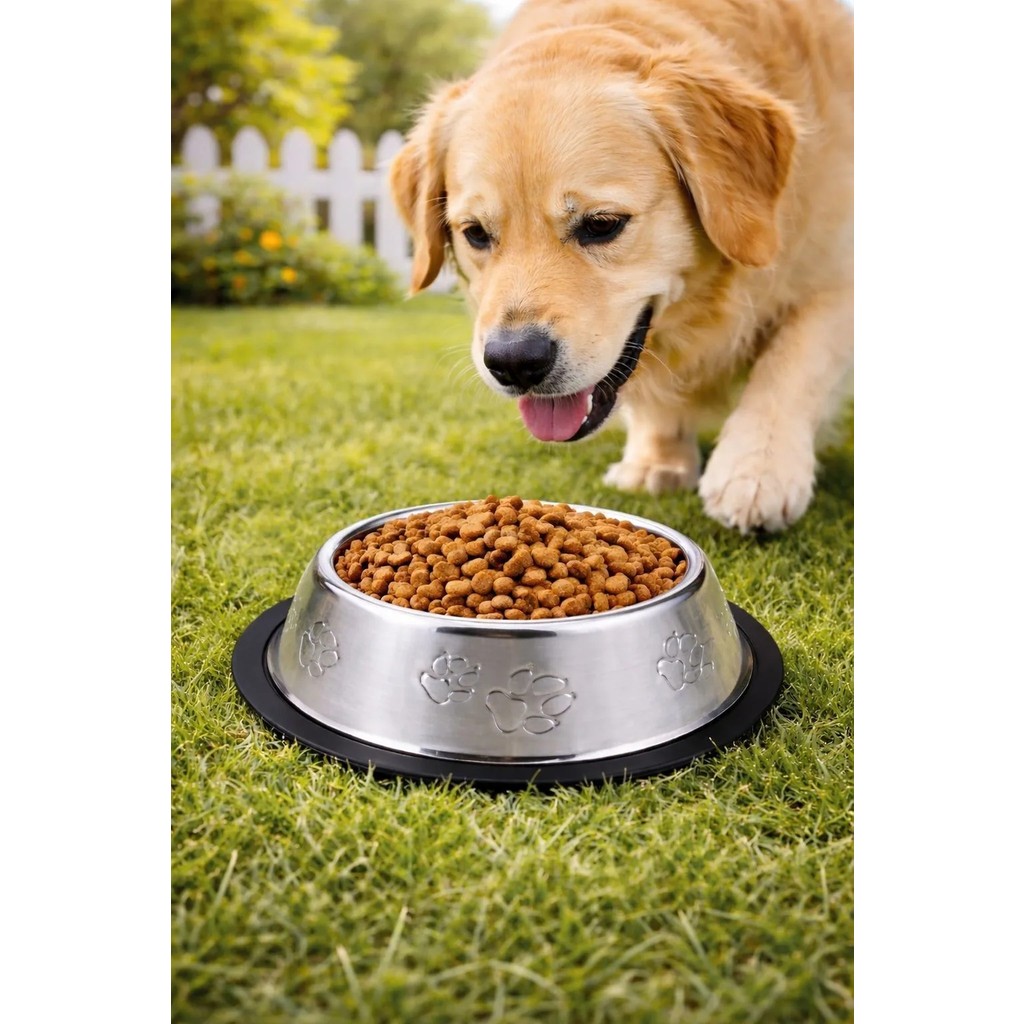Weather Forecast 2 Adet Çelik 500 Ml. 22 Cm.gri Kedi Köpek Kaymaz Taban Mama ve Su Kabı MT251-2 - Gri SSD / Solid State Drive Fiyatı