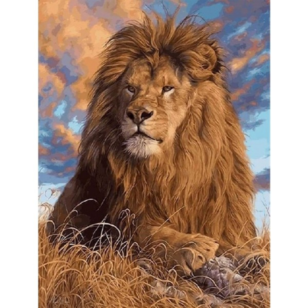 WebStyle Sayılarla Boyama Seti Kasnaklı Aslan Kral 50 x 65 cm Sanatsal Malzemeler Fiyatı