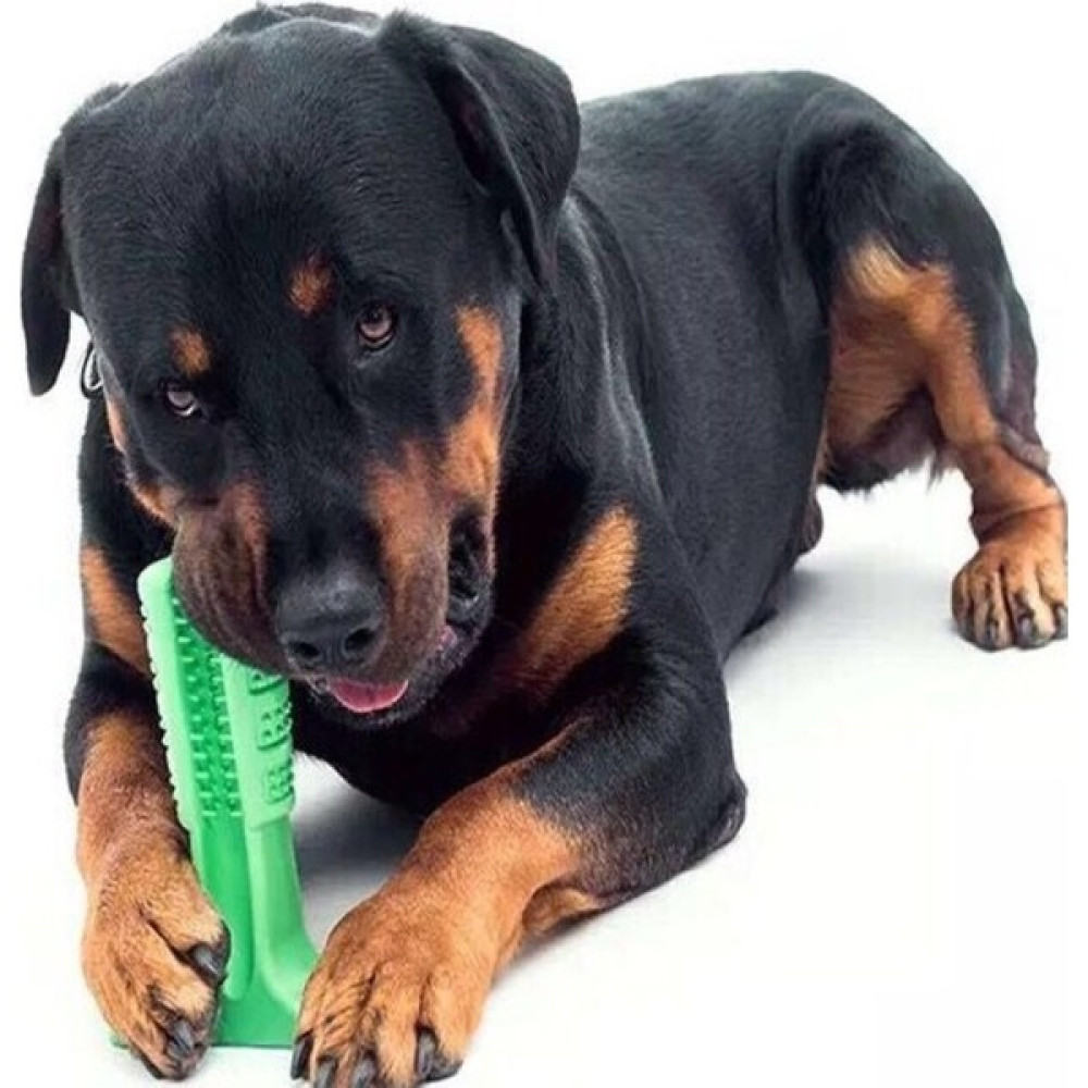 Welfare Köpek Diş Fırçası Isırma Aparatı Büyük Boy 15 x 10 x 4 cm Evcil Hayvan Ürünleri Fiyatı