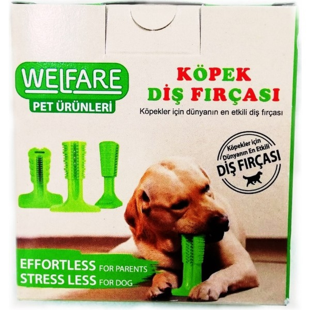 Welfare Köpek Diş Fırçası M Boy - Yeşil Evcil Hayvan Ürünleri Fiyatı