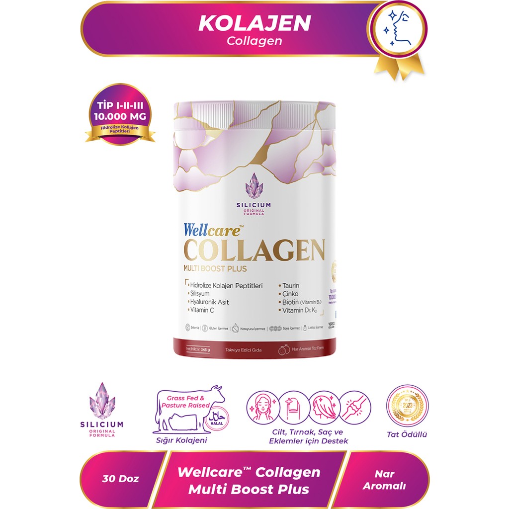 Wellcare Collagen Multi Boost Plus Nar Aromalı 345 G Toz Diğer Fiyatı
