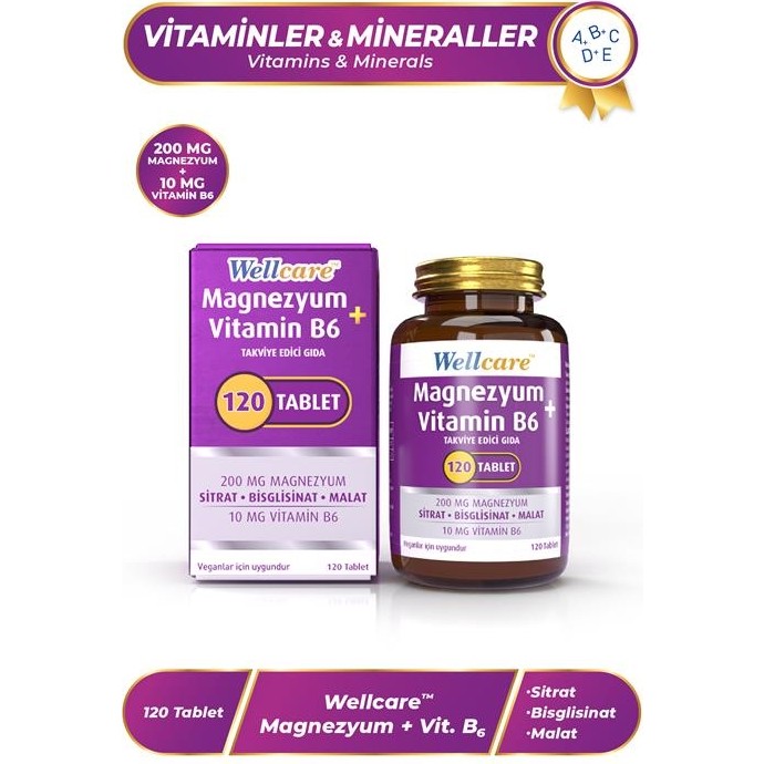 Wellcare Magnezyum + Vitamin B6 120 Tablet Diğer Fiyatı