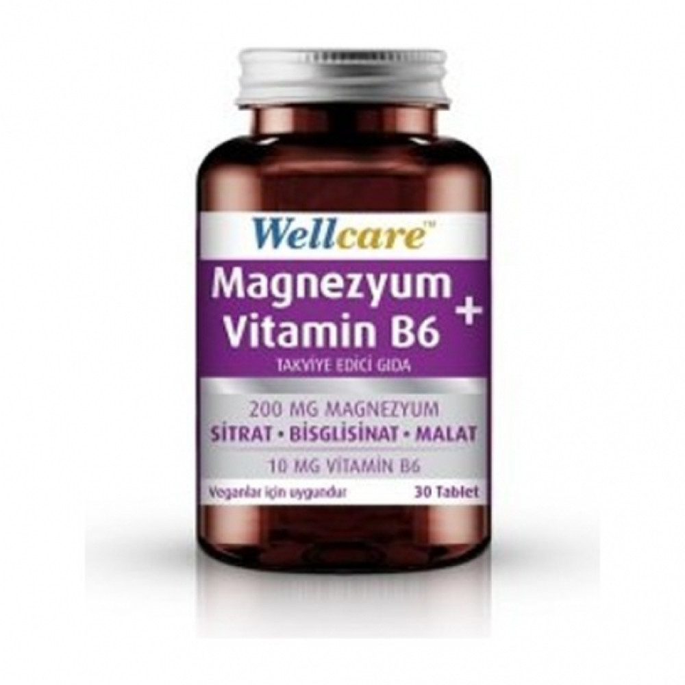Wellcare Magnezyum Vitamin B6 30 Tablet Kişisel Bakım Gereçleri Fiyatı