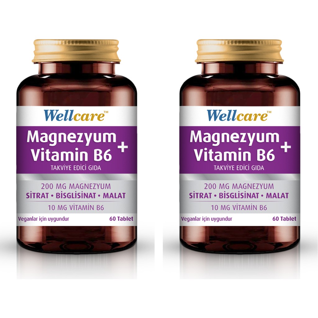 Wellcare Magnezyum + Vitamin B6 60 Tablet 2 Kutu - Ahududu Diğer Fiyatı