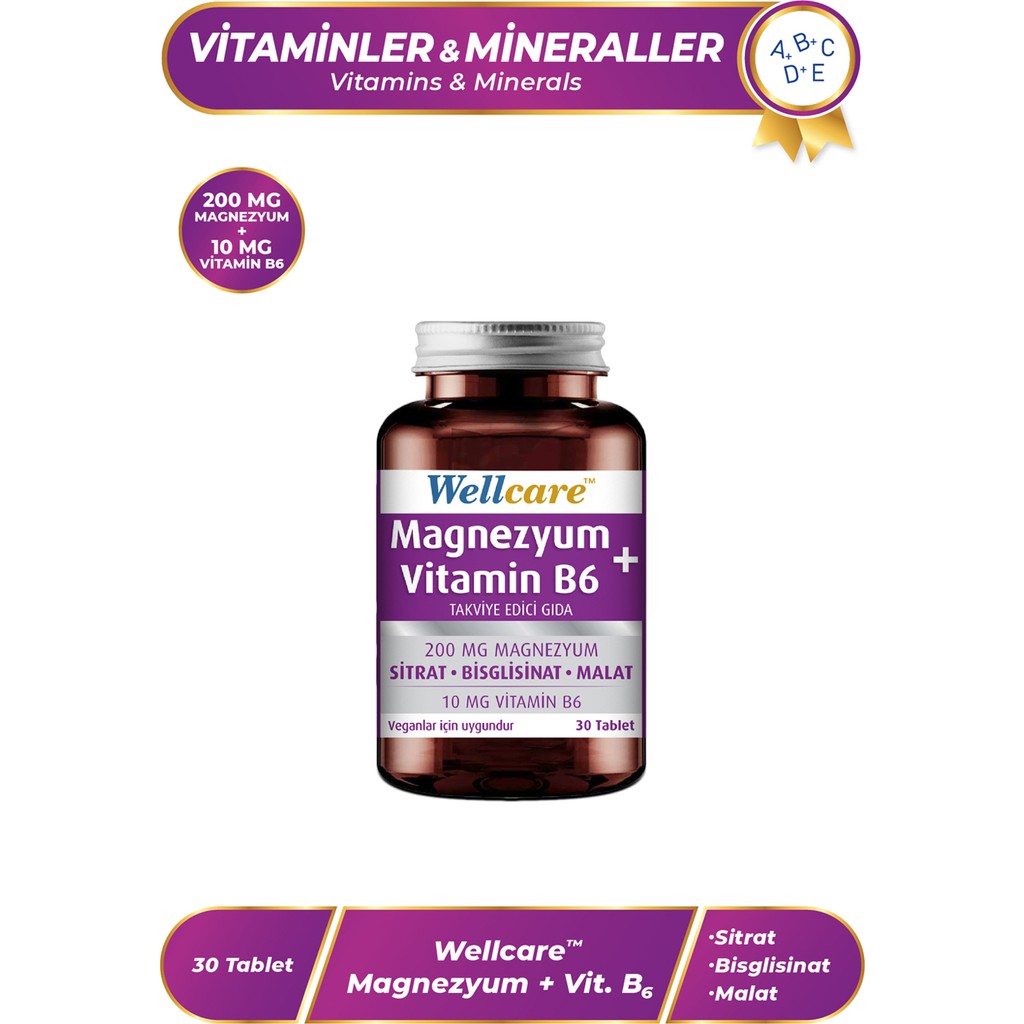 Wellcare Magnezyum+Vitamin B6 Takviye Edici Gıda 30 Tablet Diğer Fiyatı