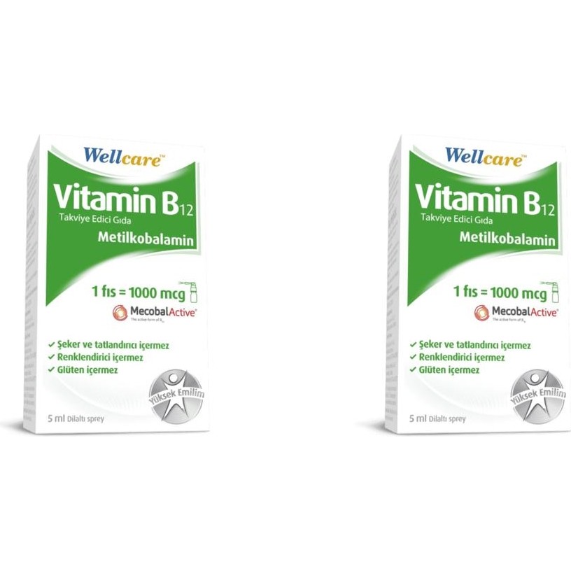 Wellcare Vitamin B12 1000 Mcg Sprey 5 ml 2 Kutu Diğer Fiyatı