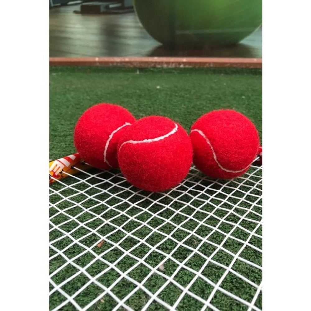 Werkon 1 Adet Antrenman Tenis Topu Kırmızı Toplar Fiyatı
