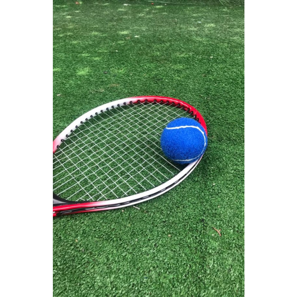 Werkon 1 Adet Antrenman Tenis Topu Mavi Dambıllar & El / Ayak Ağırlıkları Fiyatı
