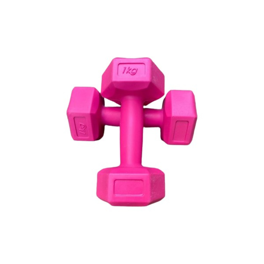 Werkon 1 kg Dambıl Set 2 Adet Dambıllar & El / Ayak Ağırlıkları Fiyatı
