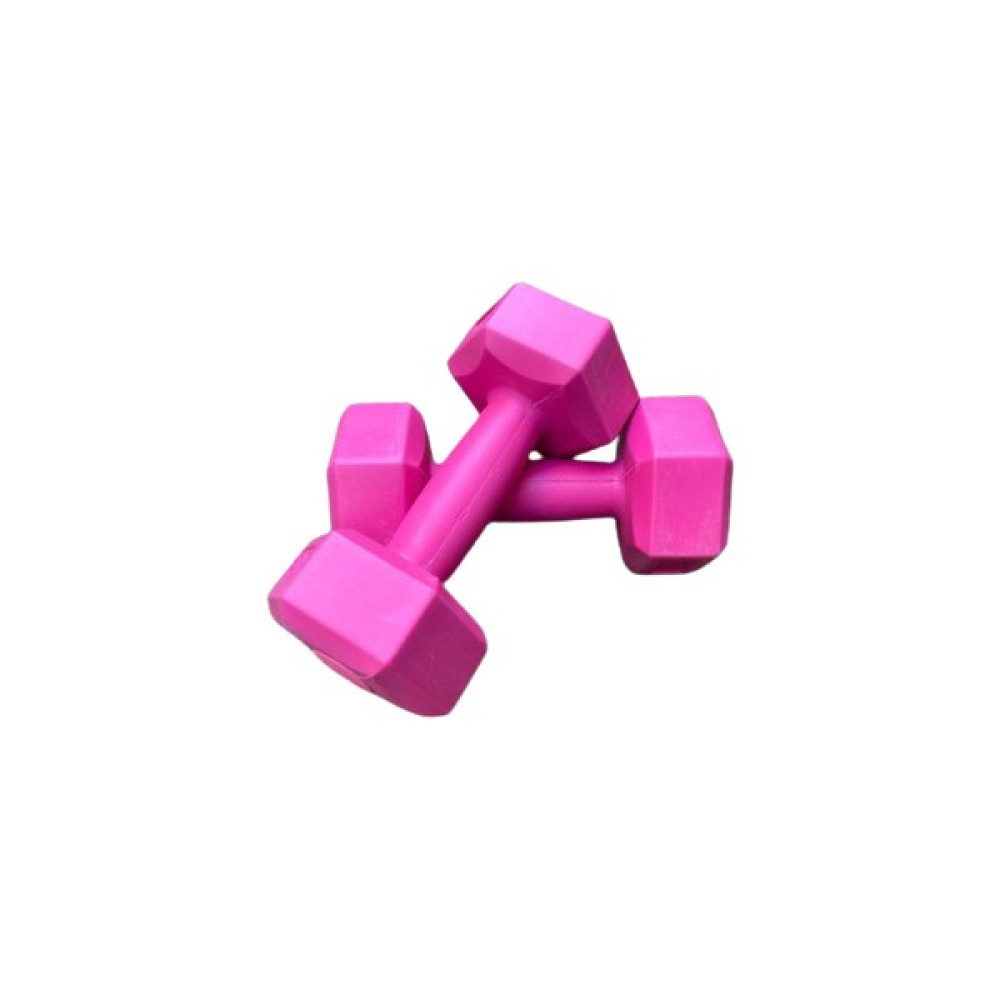 Werkon 1 kg Dambıl Seti Ağırlık Seti 1 kg 2 Adet Pembe Dambıllar & El / Ayak Ağırlıkları Fiyatı