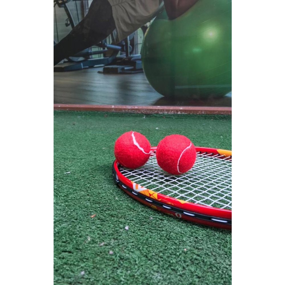 Werkon 2 Adet Antrenman Tenis Topu Kirmizi Dambıllar & El / Ayak Ağırlıkları Fiyatı