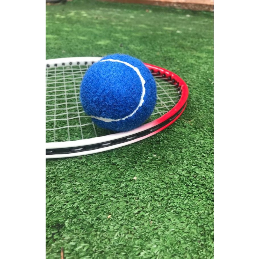 Werkon 2 Adet Antrenman Tenis Topu Mavi Dambıllar & El / Ayak Ağırlıkları Fiyatı