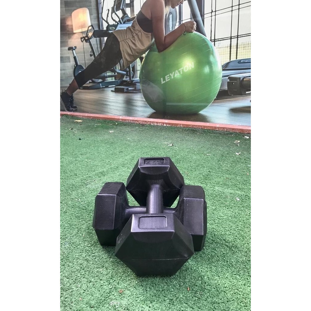 Werkon 2 kg Dambıl Set 2 Adet Dambıllar & El / Ayak Ağırlıkları Fiyatı