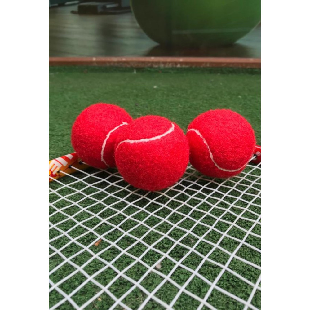 Werkon 3 Adet Antrenman Tenis Topu Kirmizi Tenis & Badminton Fiyatı