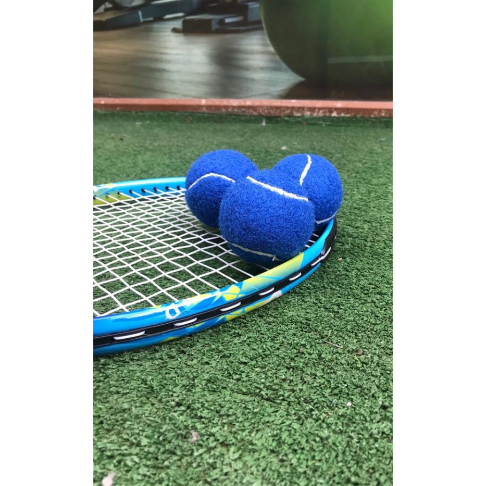 Werkon 3 Adet Antrenman Tenis Topu Mavi Tenis & Badminton Fiyatı