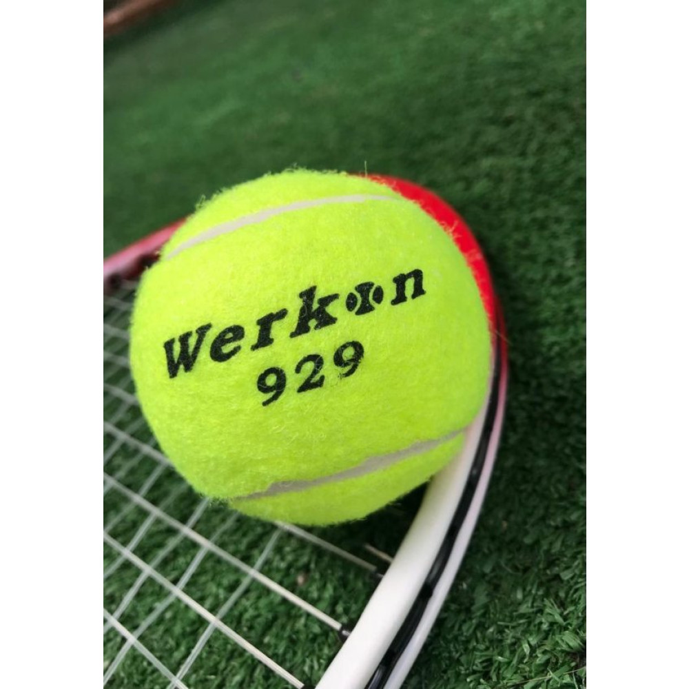 Werkon 3 Adet Antrenman Tenis Topu Sari Dambıllar & El / Ayak Ağırlıkları Fiyatı