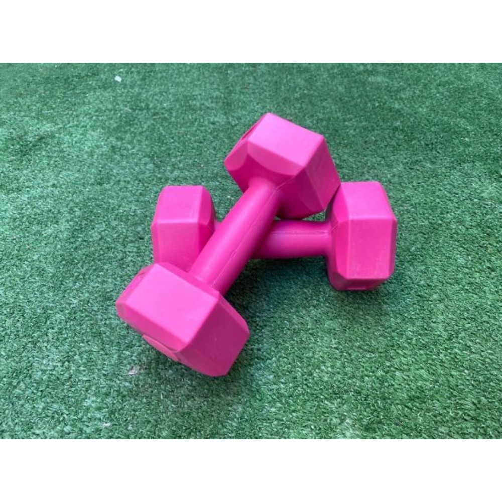 Werkon Pembe Plastik Dambil Seti 1 Kg 2 Adet Dambıllar & El / Ayak Ağırlıkları Fiyatı