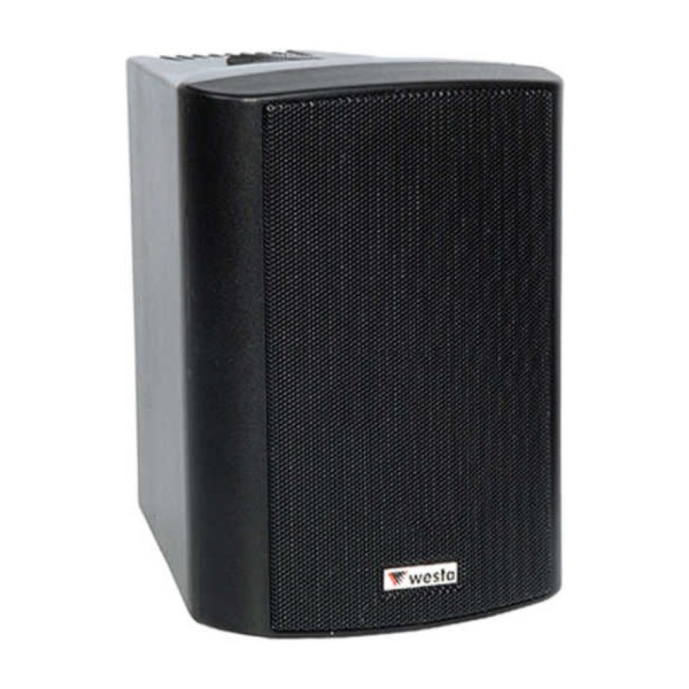 Westa 10CM 100W Hat Tr Plastik Kabin Hoparlör Siyah-Ws-4tb Oto Boyaları Fiyatı