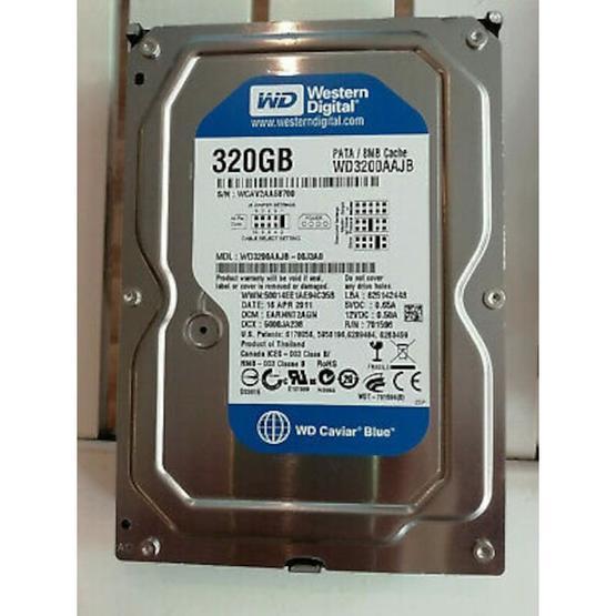 Western Digital WD3200AAJB Harddisk